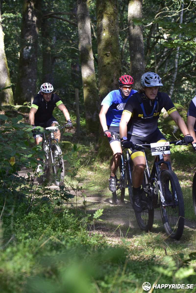 Bild från Bockstensturen 2019